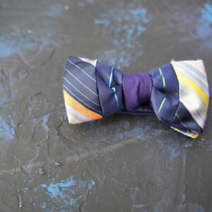 Multicoloured stripe & navy blue bowtie