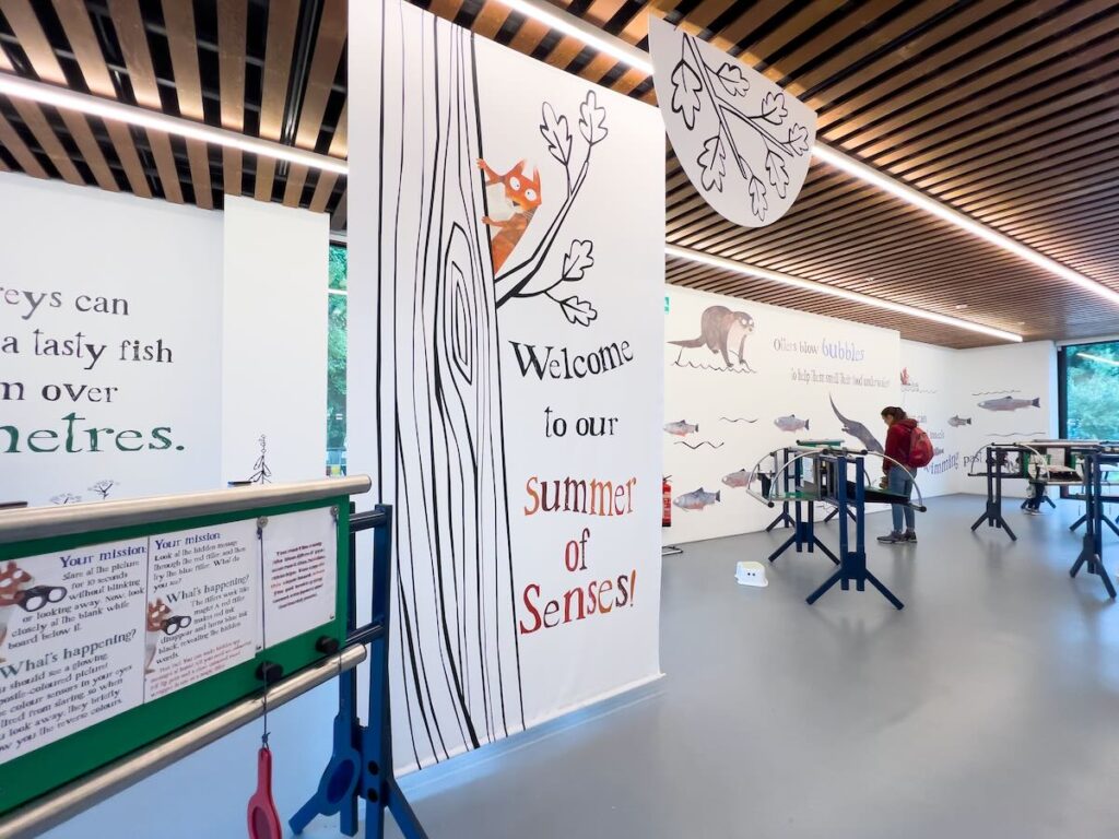 Snapshot of interactive family activities in the Learning Centre featuring nature-inspired illustrations, such as a squirrel sticking it's head out of a tree, by Bryony Cousins.